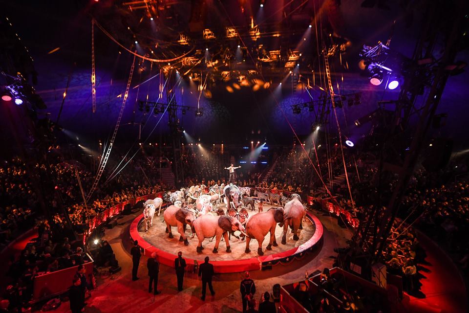 Richter Jzsef s Marrylu 7